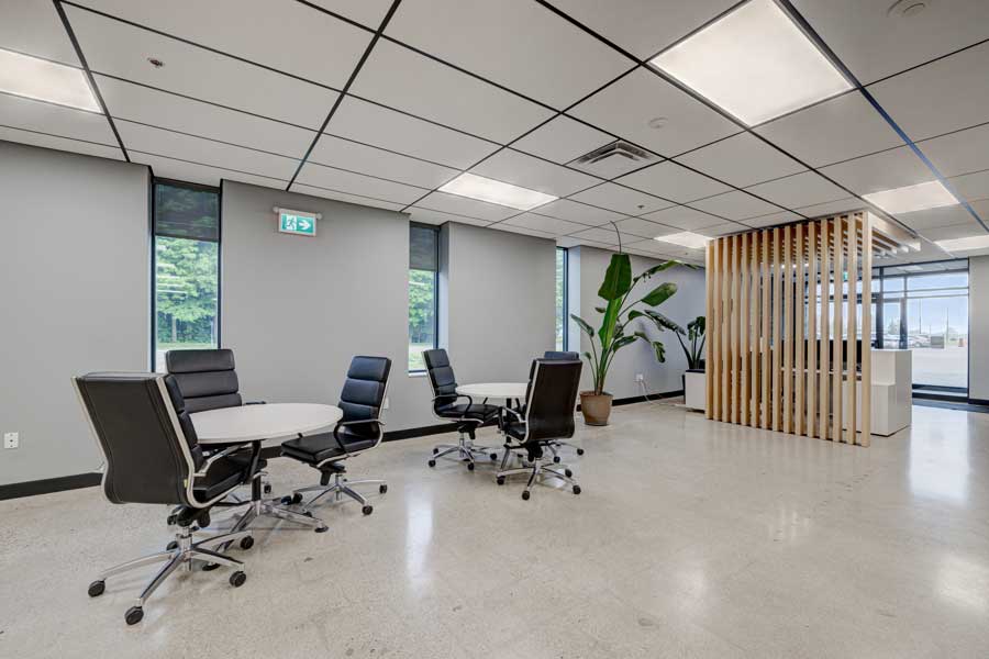 Modern office meeting room with a round table, several chairs, and a large plant beside a wooden partition, under bright overhead lights — optimized as part of our comprehensive workplace design.