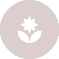 A simple, stylized white flower icon with two leaves, symbolizing new careers, centered on a solid light brown background.