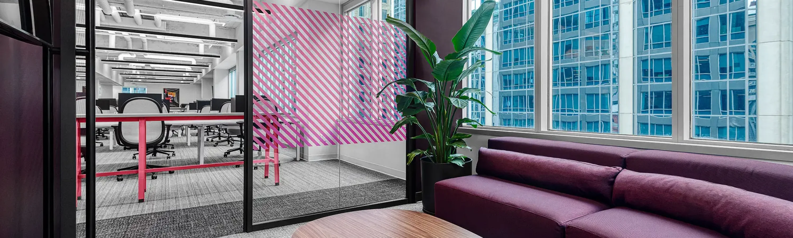 A modern office lounge area with a purple couch, wooden coffee table, and plant, adjacent to a conference room divided by glass walls with pink accents. Tall windows offer a view of neighboring buildings.