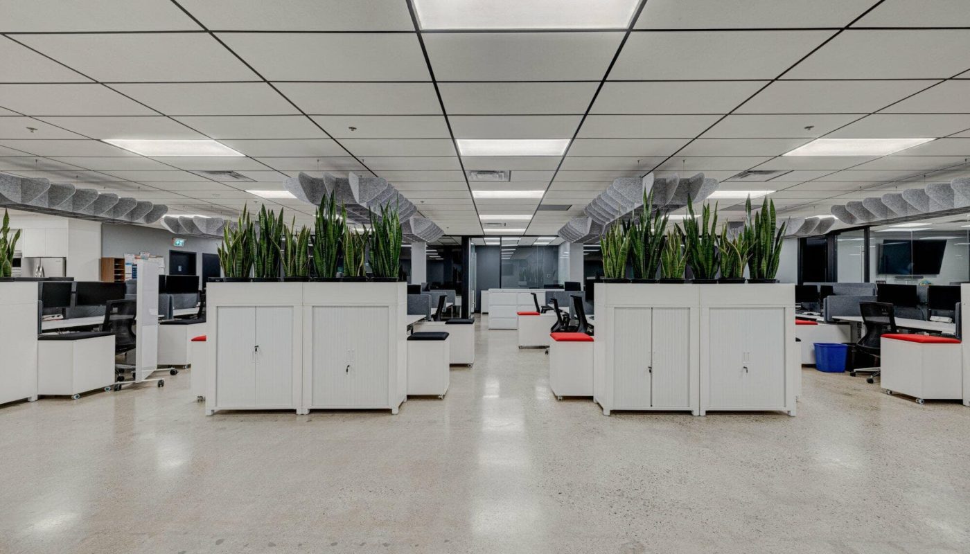 Office filing with artificial plants on top